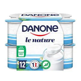 DANONE Yaourt nature 12x125g