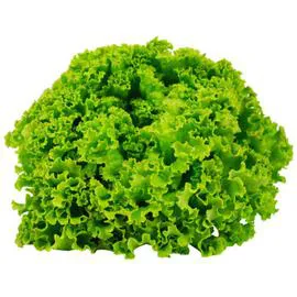 Salade Batavia (l'unité)
