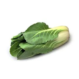 NATOORA Blette Nouvelle Cat:I 1 Pied D'Environ 600Gr l'unité