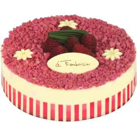 Framboisier 6 parts (l'unité)