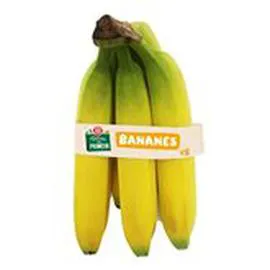 Bananes x5 (x5)