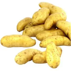 Pommes de terre primeur Ile de Ré AOP (2kg)