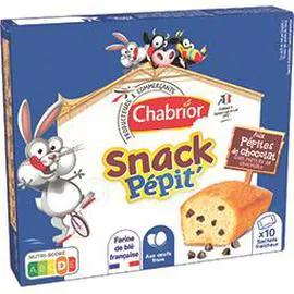 CHABRIOR Gâteaux snack pépit' aux pépites de chocolat 300g