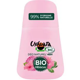 Déodorant Bille Bio 48h Hibiscus (50ml)