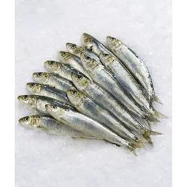 Sardine Méditerranée vrac (600g)