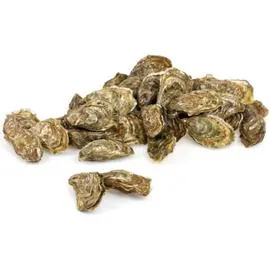 Huîtres spéciales Normandie Est N°2 (x24)