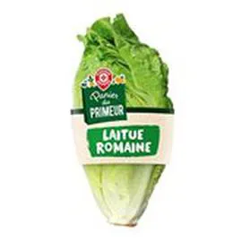 Romaine x1 (l'unité)