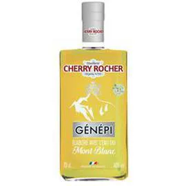 Génépi élaboré avec l'eau du Mont Blanc 40% (70cl)