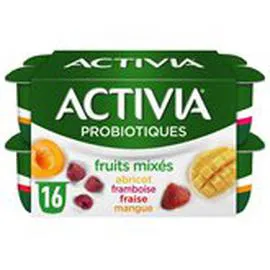 Yaourt fruits mixés bifidus (16x125g)