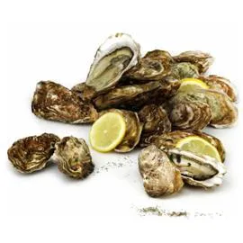 Huîtres fines Normandie Ouest N°3 (x12)
