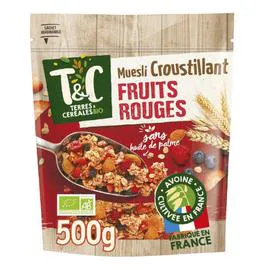 Céréales muesli croustillant fruits rouges sans huile de palme Bio (500g)