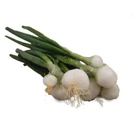 Oignon blanc frais - 1 botte (l'unité)