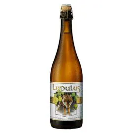 Bière blonde (75cl)
