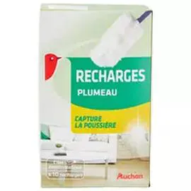 Recharges plumeau dépoussiérant (x10)