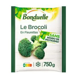 Brocoli en fleurettes sans résidu de pesticides (750g)