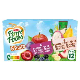 Compotes 5 fruits (12x90g)