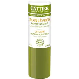CATTIER Stick à lèvres olive et mangue sauvage Bio 4g