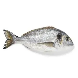 Daurade royale (350g)