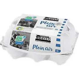 Oeufs de poules élevées en plein air (x6)