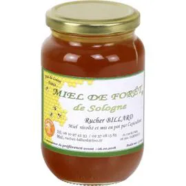 Miel de forêt de Sologne (500g)