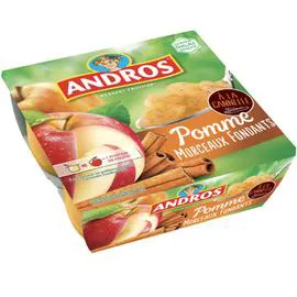 Dessert fruitier pomme cannelle morceaux (4x100g)