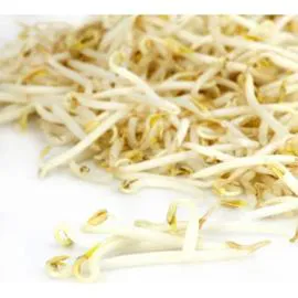 Pousses d'haricot Mungo (400g)