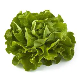 Salade Laitue (l'unité)