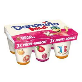 DANONE, DANONINO Yaourt à boire aux fruits pêche abricot fruits rouges 6x100g