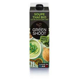 Soupe bio de courgette lait de coco & curry vert (1l)