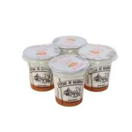 Yaourt bi couche abricot (500g)