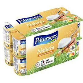 Naturéa - Yaourt au sucre de canne (16x125g)