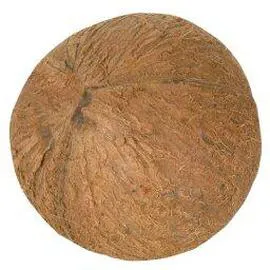Noix de coco (l'unité)