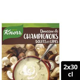 KNORR Soupe liquide douceur de champignons bolets et cèpes 600ml