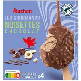 Bâtonnets glacé façon rocher chocolat noisette (204g)