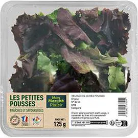 MON MARCHÉ PLAISIR Mélange de JEUNES POUSSES 125g