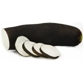 Radis noir Bio (500g)