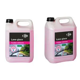 Lave-glace toutes saisons -20°C (5l)
