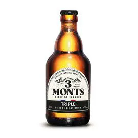 Bière blonde 9.5% vol. (33cl)