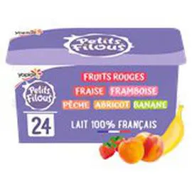 Fruits mixés Panachés (24x50g)