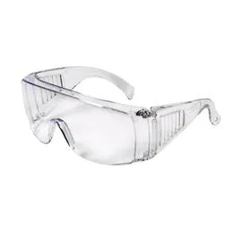 Lunette de Protection Professionnel Travaux (l'unité)