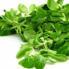 Salade Mâche (150g)