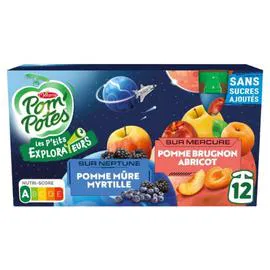 Compotes Les P'tits explorateurs (12x90g)