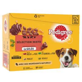 PEDIGREE Pâtée pour chien assortiment viandes 12x100g