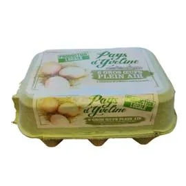 Oeufs plein air (x6)