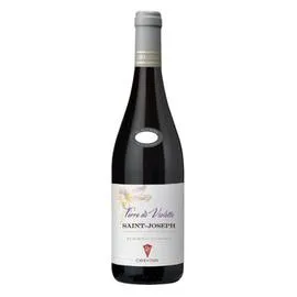 Vin Rouge Vallée Du Rhône AOP Saint Joseph Terre de Violette (75cl)