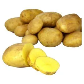 Pomme de terre Bonnotte Primaline de Noirmoutier (1,5kg)