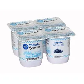 Yaourt myrtille (4x125g)