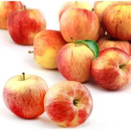 Pommes Gala (1,5kg)