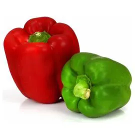 Poivrons bicolores Bio (x2)