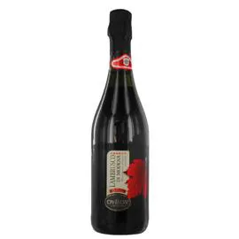 Vin pétillant rouge Lambrusco DOC Italie (75cl)
